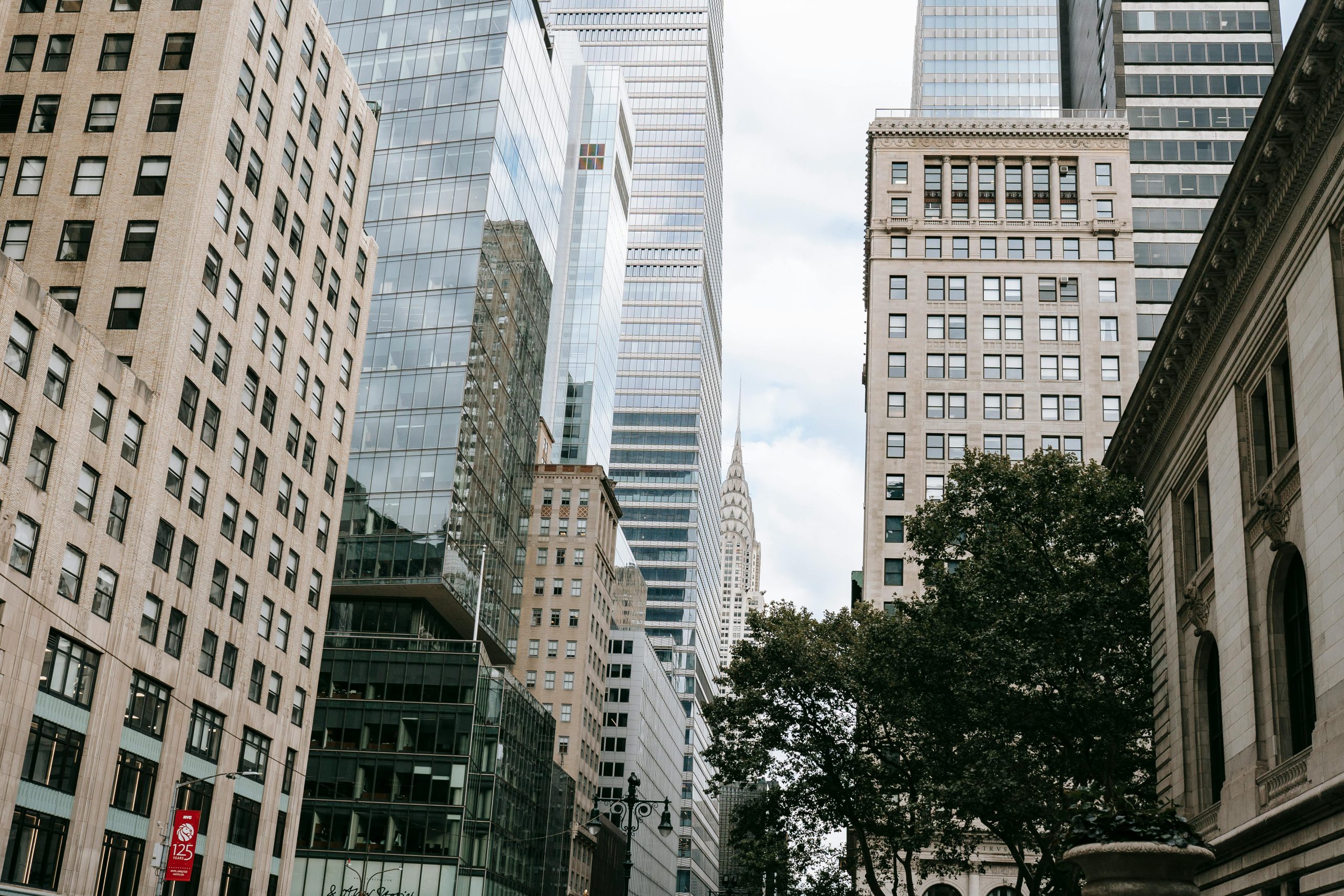 pexels-charles-parker-5845729